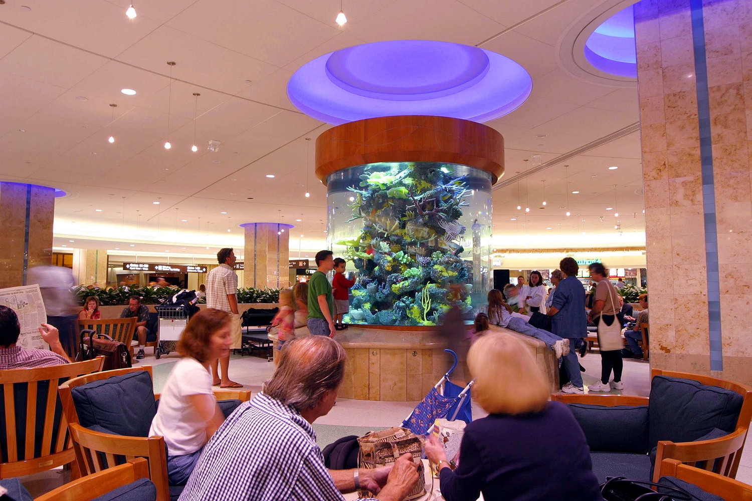 Aquarium in Food Court