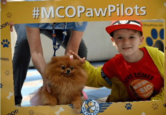 Airport therapy dog with child